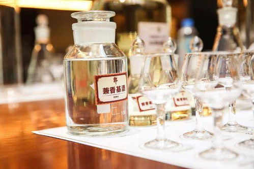 陳寶國代言順品郎,現場高喊雄起