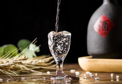 珍酒李渡赴港上市 白酒教父爭(zhēng)奪醬酒第二股，預(yù)包裝食品市場(chǎng)迎來(lái)新機(jī)遇